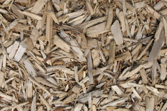 biomass boilers Treveor