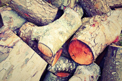 Treveor wood burning boiler costs